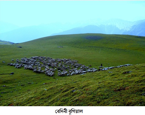 Roopkund Trek